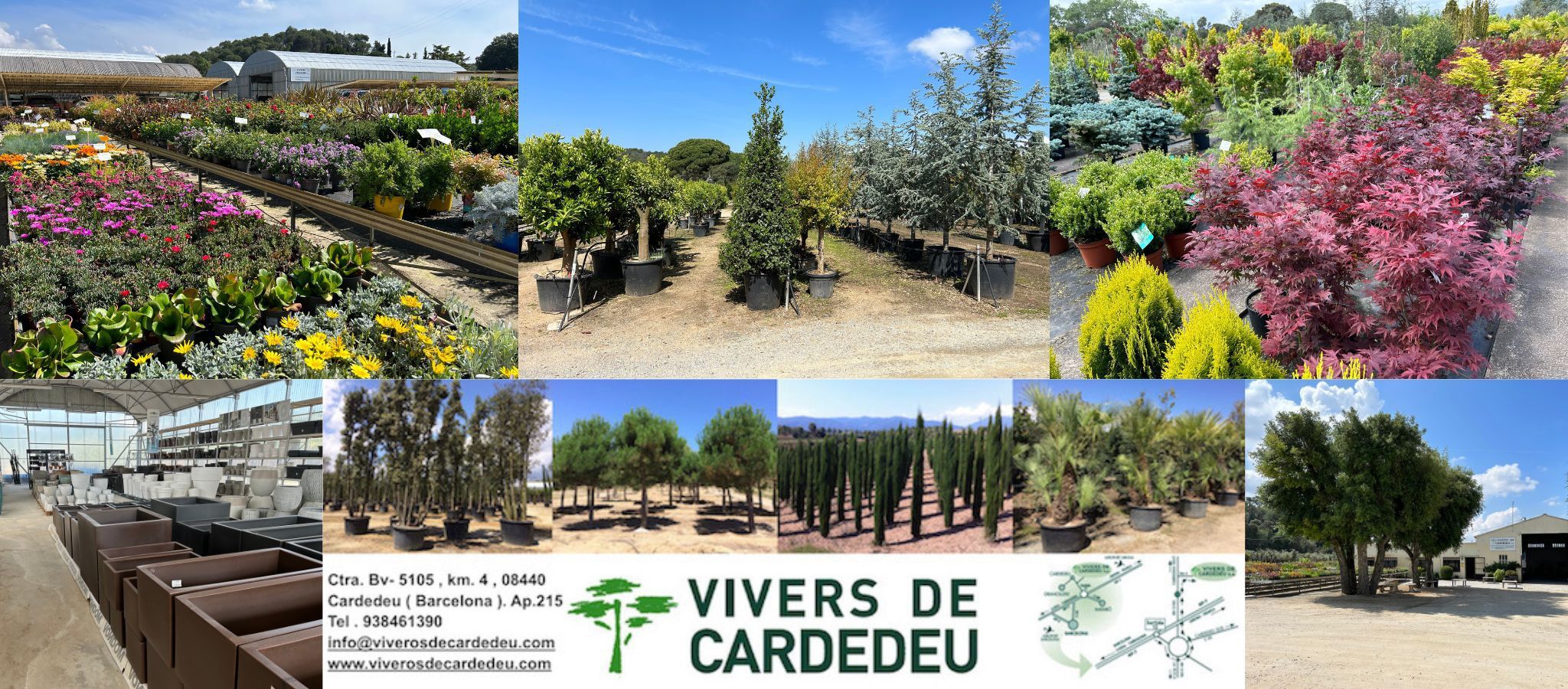 Vivers de Cardedeu