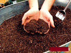 Laboratorio La ciudad entrevista Sacos de tierra ácida ( de castaño ) — Centro de Jardineria Cardedeu