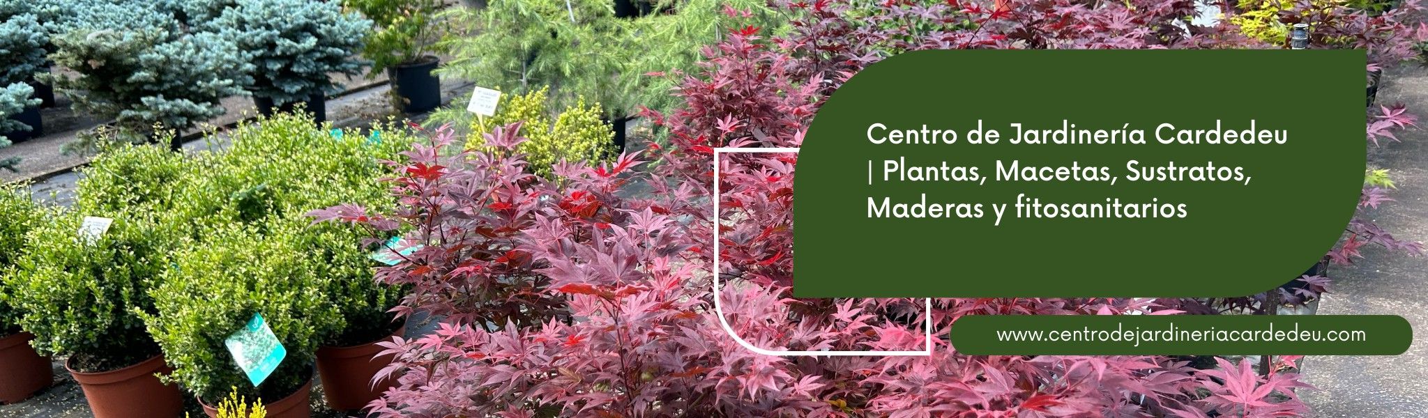 Centro de Jardineria Cardedeu